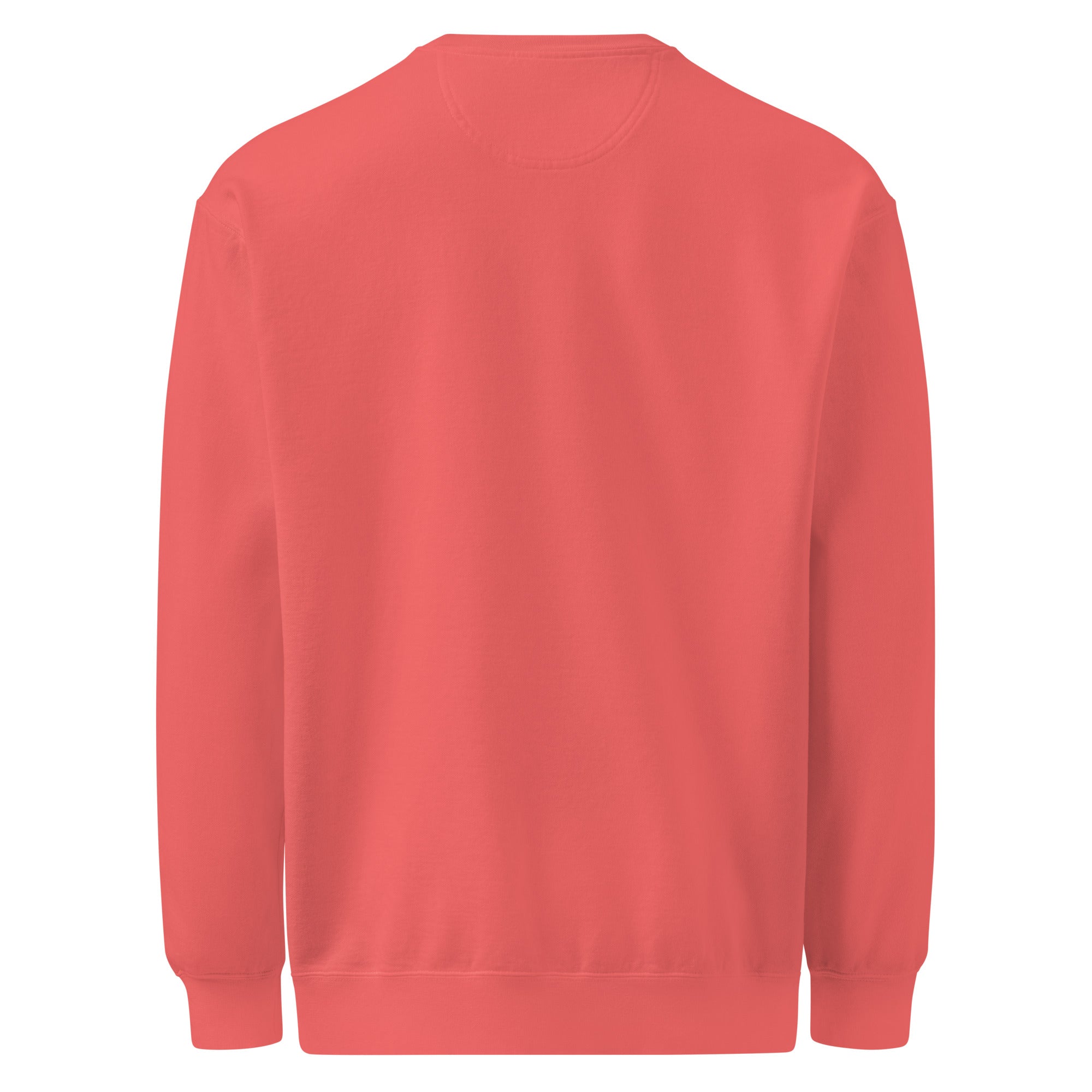 Unisex garment - dyed sweatshirt - Print My Man